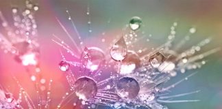 Énergies intenses, fin de cycle & renouveau